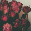 suzzy6280