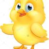 chickpollis1