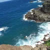 ramonroque08