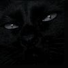 taif_6x