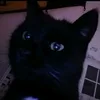 marvin_lost_