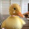 fatma_ibrahiim_