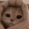 cats32109