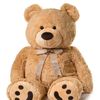 teddy_23.0