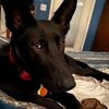 lovetoreadcomments