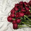 _aya_23h