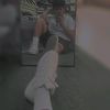 andersongc01