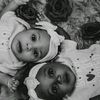 boshog_91