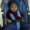 paall515