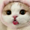 annie_abuddy