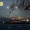 demon.7575
