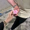 aya_mvher