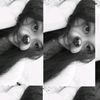 whossupsa