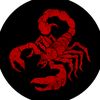scorpion_zurkoz