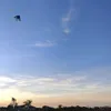 lykadiamondinthesky7
