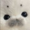 khloenomoney