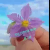 moner.manus.m.m