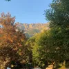 not_dani010