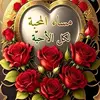 user8681277780528