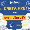 canvapro199