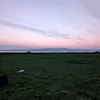 wshekelton_