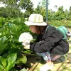 thinguyen4697