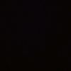 henn_1307