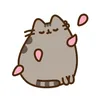 kiki.myak