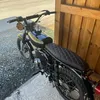tce_felix