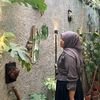 ianyaa_