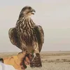dymn9erqimhj