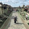 dinniann01