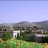muhamethalil743