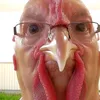 fiipplayz