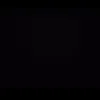 leonid_1638