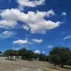 mauriciocubillas