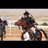asayl.11