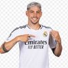 bicho_aveiro7