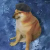 zasiesdraugz