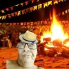 miguexxzp