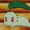 chikorita12