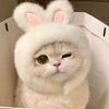 4u_nanaaa