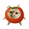 lithnyu