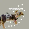 mamekichi_live