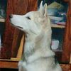 bernardo.wav06