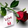 delm598