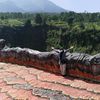 erni_suningsih