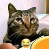 jambu.biji37