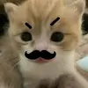 zyzie_zzzz