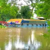 phan_minh_hai
